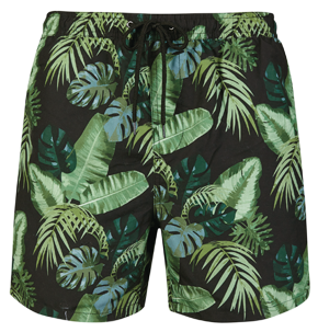 Swimming Shorts